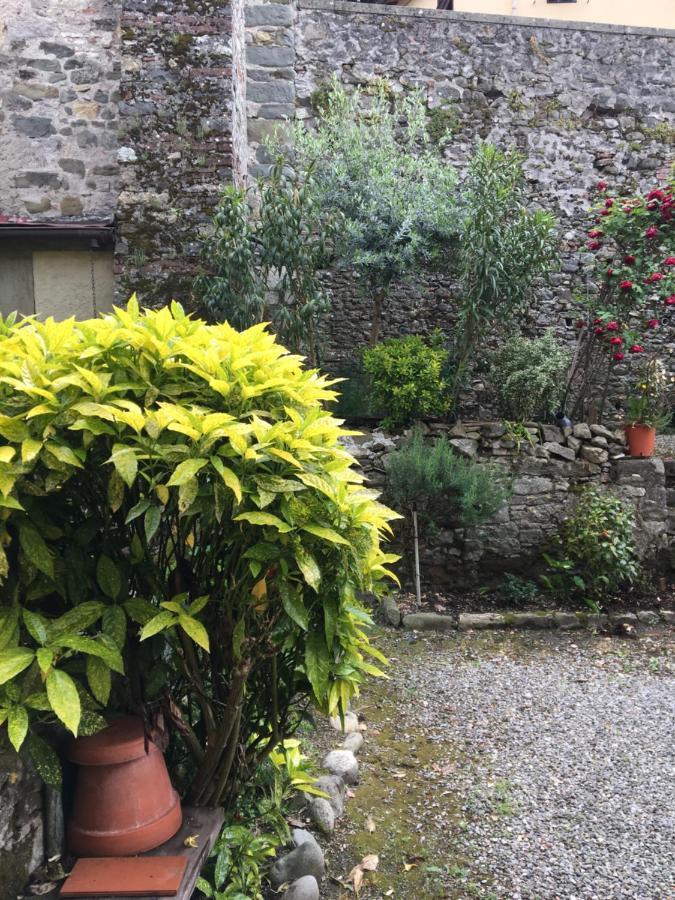 Barga Lucca Centro Storico Con Giardino Apartman Kültér fotó